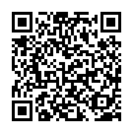 QR code for DT 8219