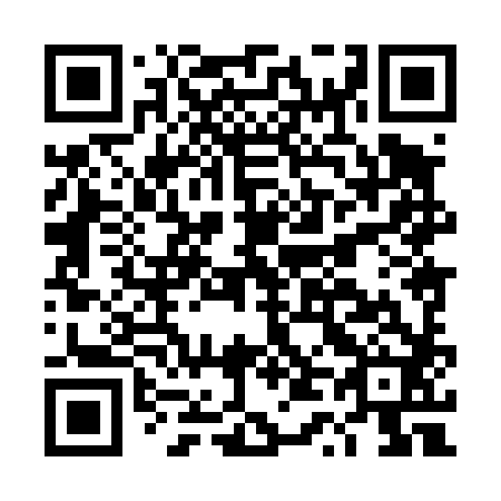 QR code for DT 8482
