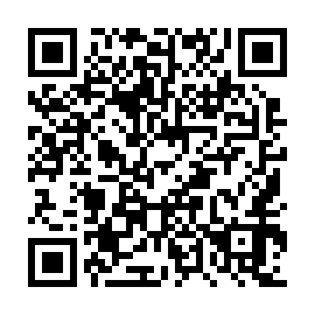QR code for DT 9252