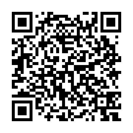 QR code for DT 9338