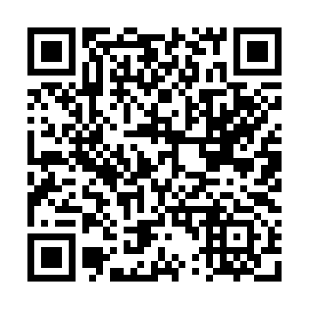 QR code for DT 9393