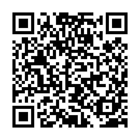 QR code for DT 9481