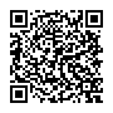 QR code for DT 9576