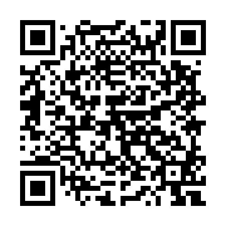 QR code for DT 9580