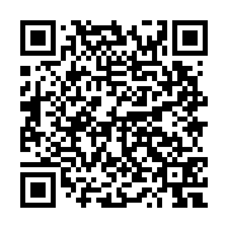 QR code for DT 9771