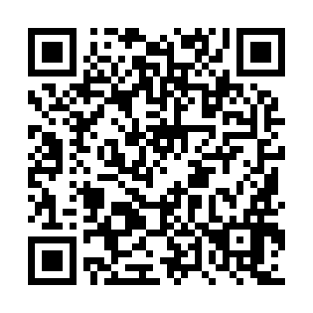 QR code for DT 9996