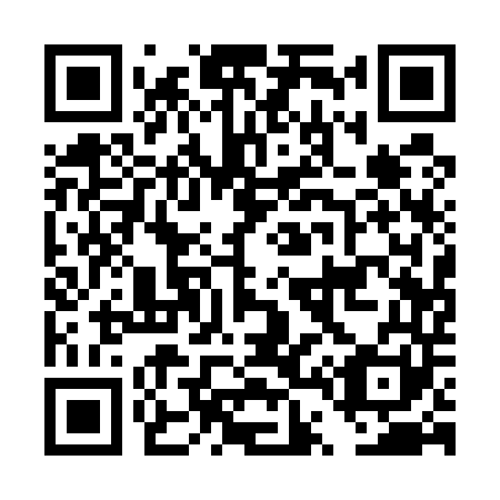 QR code for DT1541