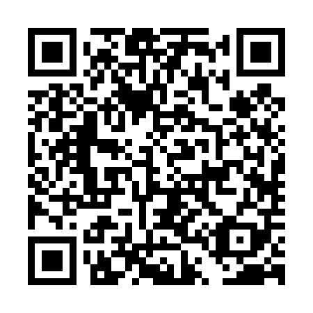 QR code for DT2409