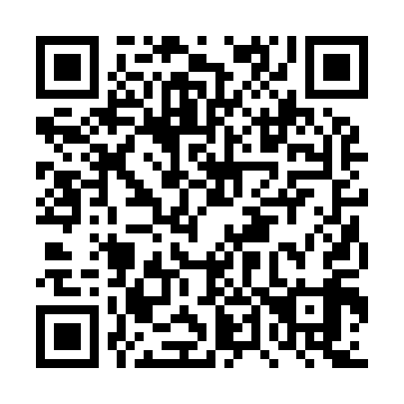 QR code for DT2919