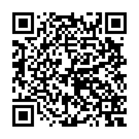 QR code for DT3029