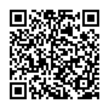 QR code for plate DT 3153