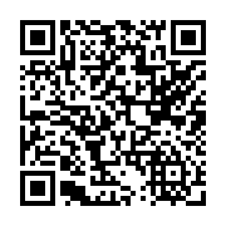 QR code for DT3815