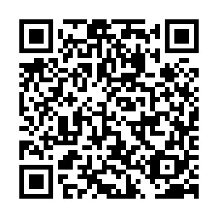 QR code for DT3868