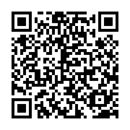 QR code for plate DT 4035