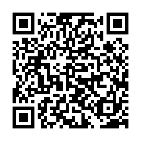 QR code for DT4133