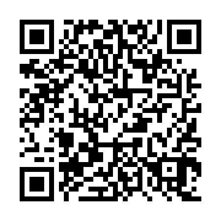 QR code for plate DT 4502