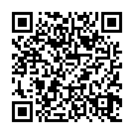 QR code for DT4528