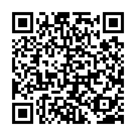 QR code for DT4739