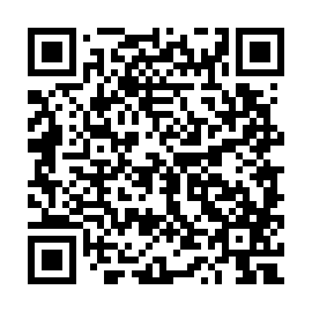 QR code for plate DT 4787