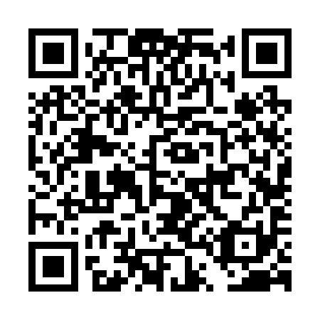 QR code for DT6291