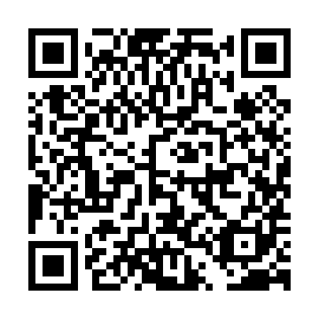 QR code for plate DT 9081