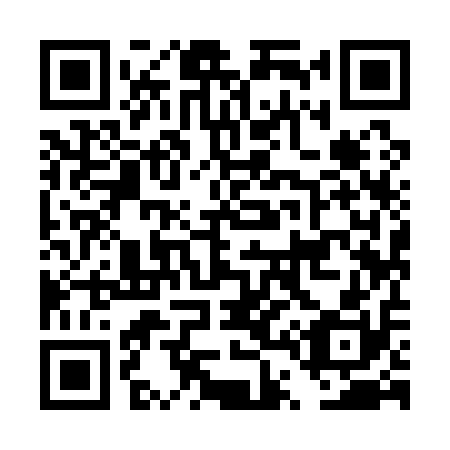 QR code for DT9110