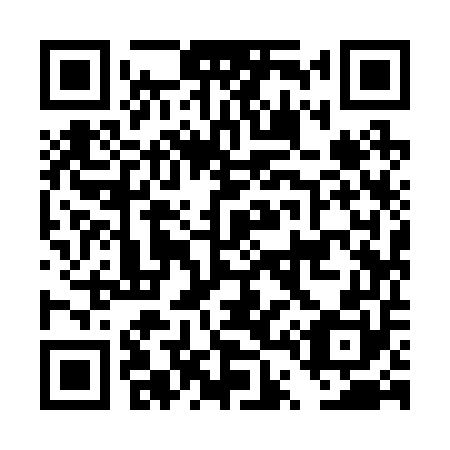 QR code for plate DT 9250