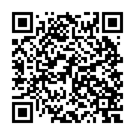 QR code for plate DTG 243