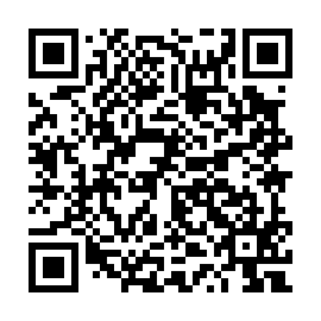 QR code for plate DTI 095