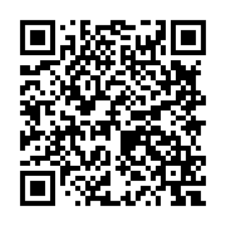 QR code for plate DTI 865