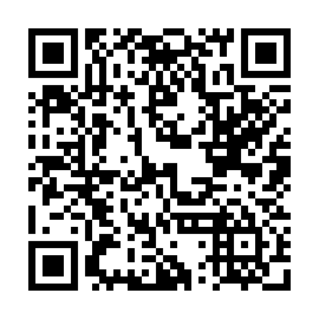QR code for plate DTK 335