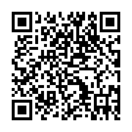 QR code for plate DTK 596