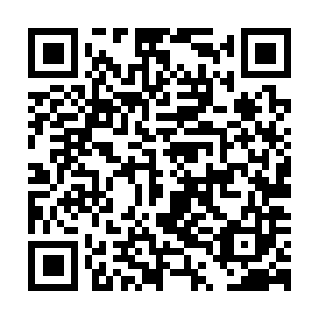 QR code for DTL 383