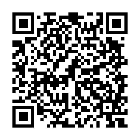 QR code for plate DTN 485