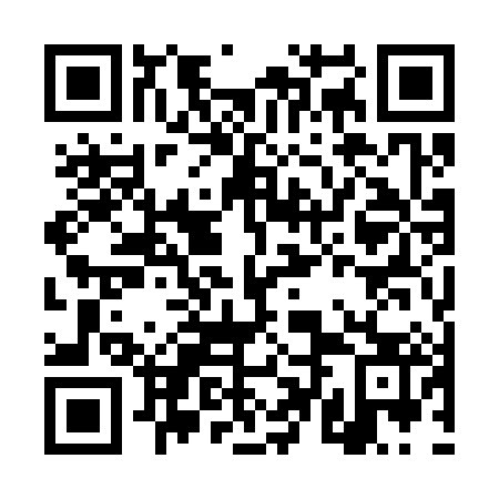 QR code for DTO 383