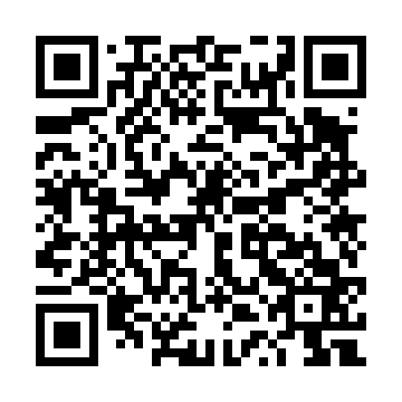 QR code for DTO 463