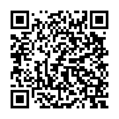 QR code for plate DTS 040