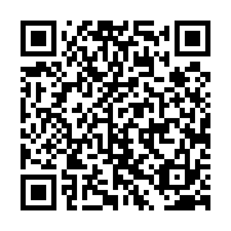 QR code for plate DTT 533