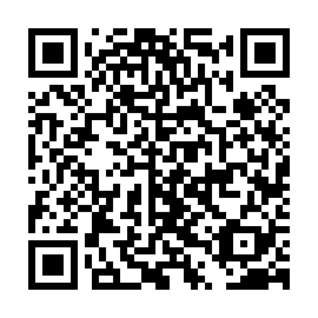 QR code for DTV 029