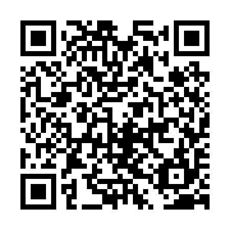 QR code for DTW 294