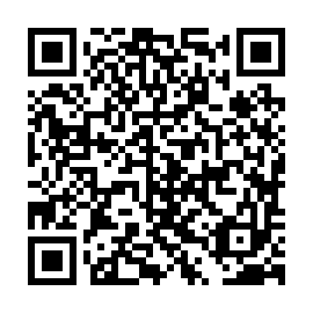 QR code for plate DTZ 293