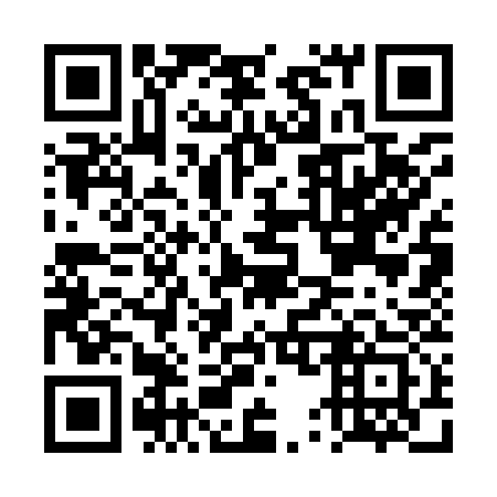 QR code for DU 3933