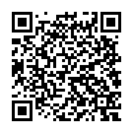 QR code for DU6533