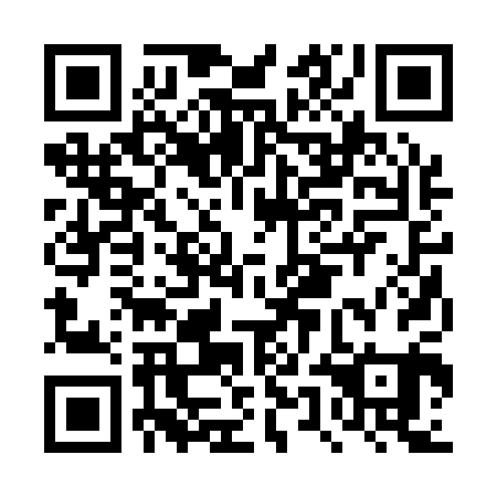 QR code for DUB 101