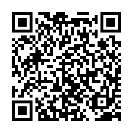 QR code for DUB 313
