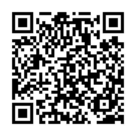 QR code for plate DUD 667
