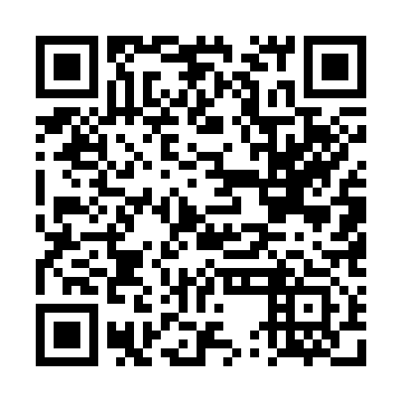 QR code for DUE 313