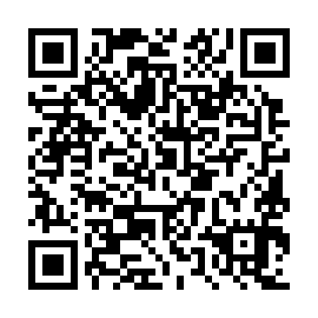 QR code for plate DUE 395