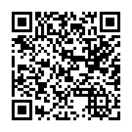 QR code for plate DUE 955
