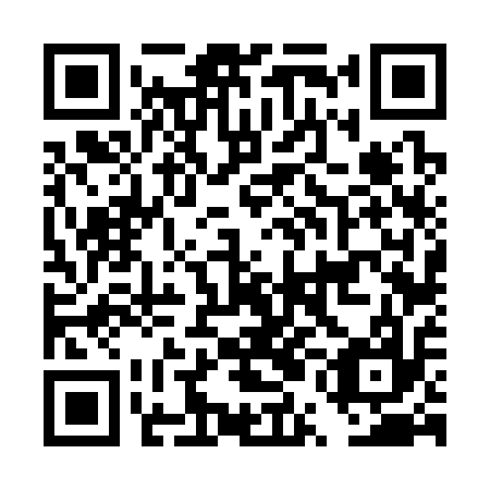 QR code for DUF317